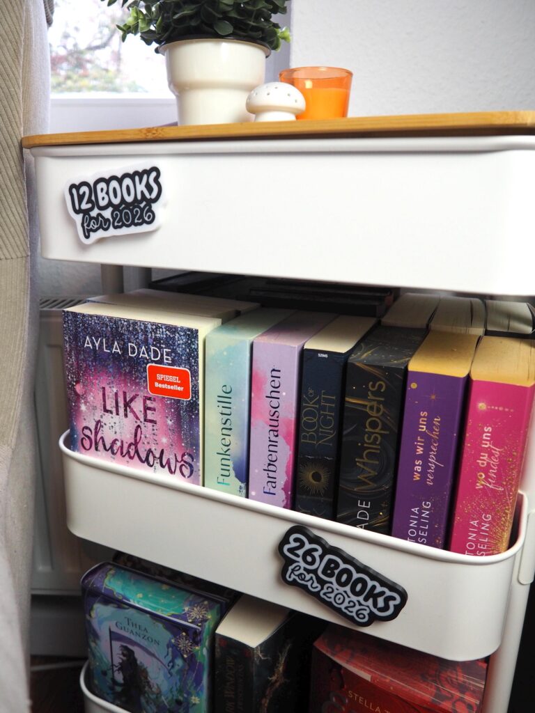 Books for 2026 TBR Challenge Magnets – Produktbild 4